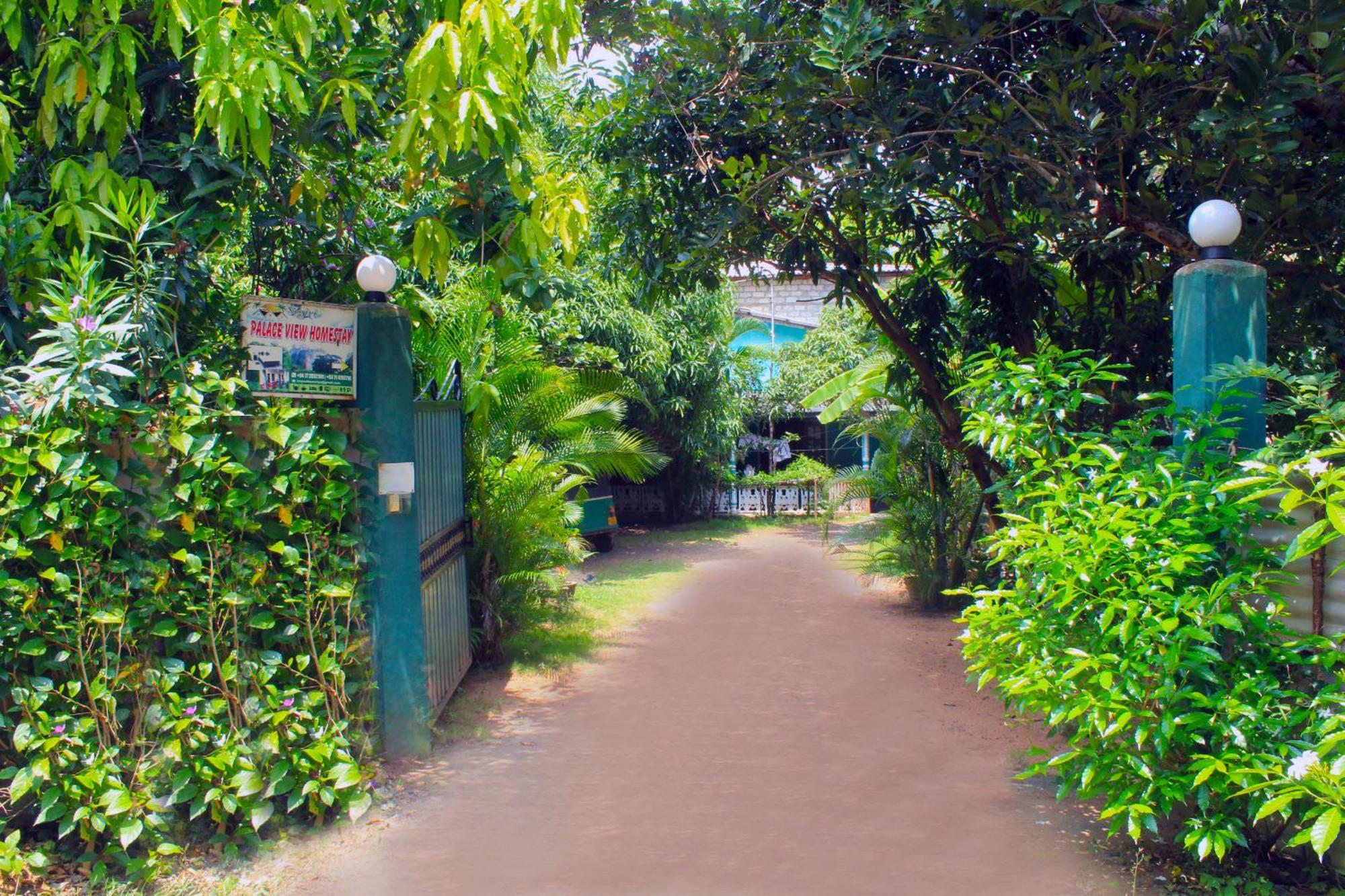 Sigiriya Palace View Dış mekan fotoğraf
